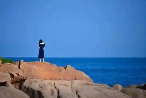 生死由命阵容搭配攻略最新(全命神仙挂机版过图阵容)插图1