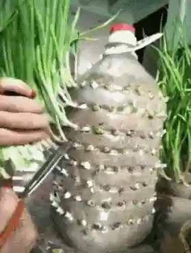 门神国际服阵容搭配攻略(神都探奇橙色门客搭配高战)插图8