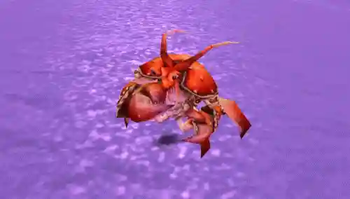 钳子先生的魔法龙虾盒在哪钓(魔兽世界钳子先生哪里钓)