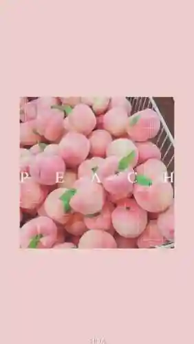 水蜜桃图片大全唯美壁纸(桃子壁纸软件下载)插图60
