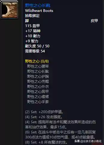黑石塔下层掉落(wow副本掉落物品查询)插图25