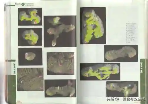 永恒传说图文详细攻略(ps1永恒传说中文版攻略)插图38 永恒传说图文详细攻略(ps1永恒传说中文版攻略)插图38