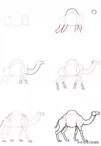 画100个呆萌可爱小动物(画小动物简单又可爱)插图5