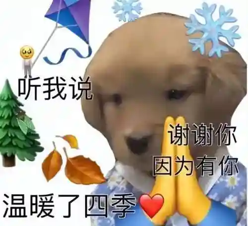 听我说谢谢你(谢谢你因为有你温暖了四季)插图5