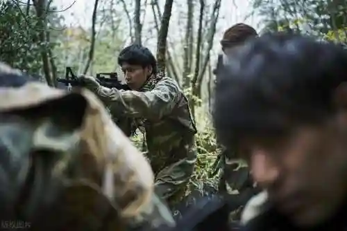 雇佣战士秘籍搭配阵容攻略(佣兵战纪平民刷图t0阵容)插图1