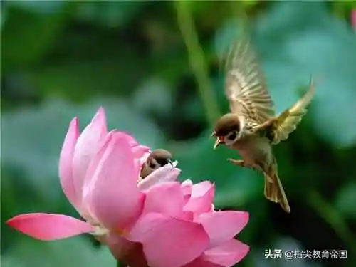 秘密的反义词(近义词大全)插图1