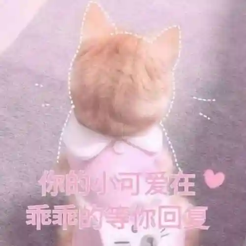 烈龙怎么搭配阵容好(龙战于野最强阵容)插图4