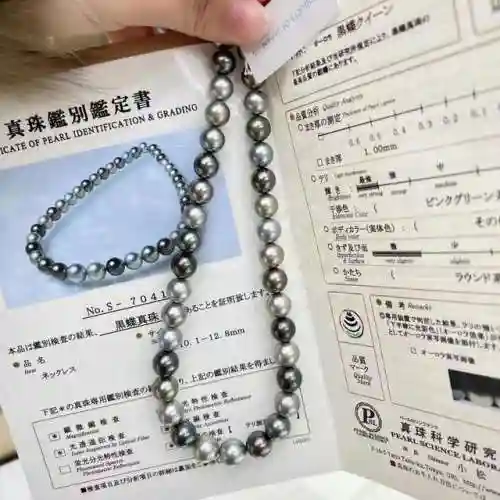 黑蝶皇后怎么搭配阵容(黑蝶是什么)插图2