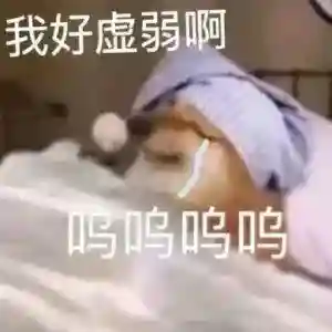 无语表情包阵容搭配图(强颜欢笑表情包)插图26