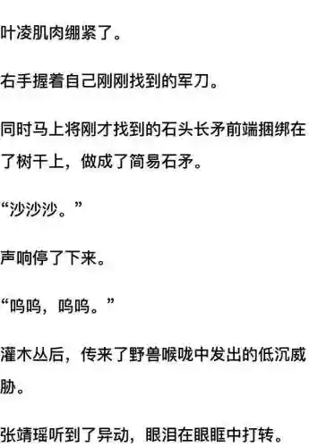 我和七个女神在荒岛求生(和女神们流落荒岛我为王免费阅读)插图40
