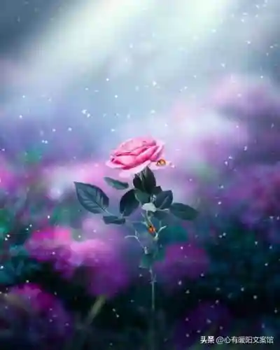 有高级感的队名(冷门不重名的公司名称)插图2