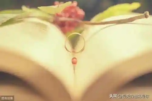 盛世芳华杨贵妃阵容搭配(盛世芳华推荐阵容)插图1