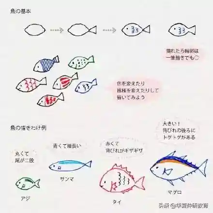 儿童画画入门初学(中国十大原画培训机构)插图4