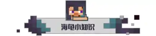 我的世界海龟怎么驯服(我的世界海龟下蛋机制)插图1