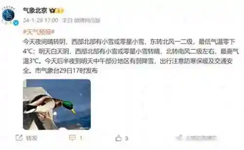 魅影幽兰和幽兰雪魅(幽兰雪魅绝版了吗)