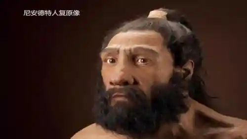 原始先祖搭配阵容图最新(最后的原始人最强阵容)插图7