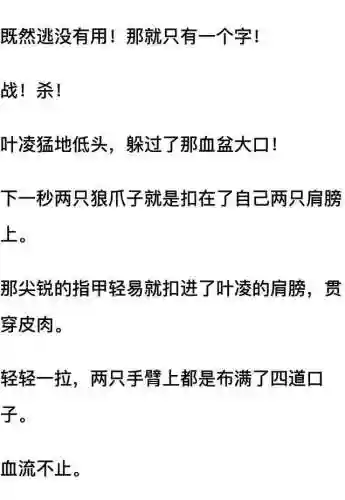 我和七个女神在荒岛求生(和女神们流落荒岛我为王免费阅读)插图53