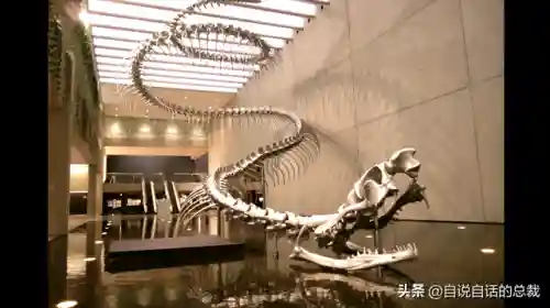 远古巨兽大复活(上古神兽饕餮电影免费)插图20 远古巨兽大复活(上古神兽饕餮电影免费)插图20