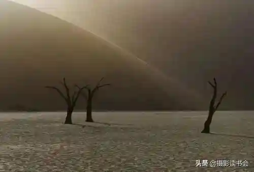 2021年图片大全好看(唯美图片2024新图片)插图10