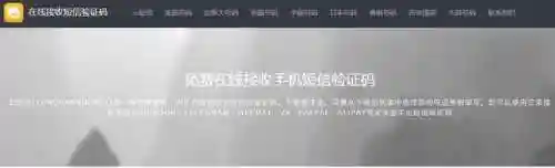 虚拟手机号接收验证码(虚拟号码发送短信平台)插图4