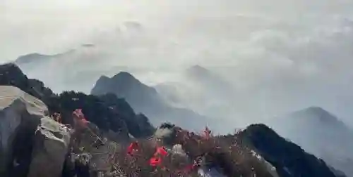 文明与征服云海阵容搭配(文明与征服平民最强阵容第一名)插图3