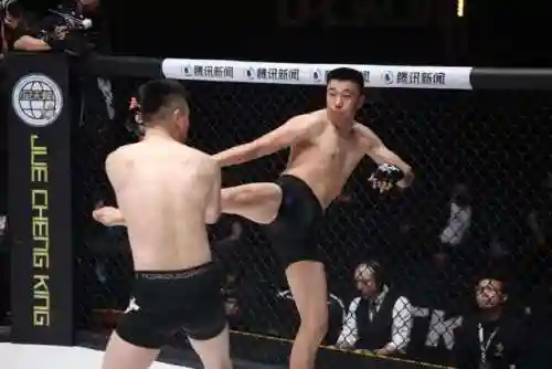 刺客狼王阵容搭配攻略(绝境守卫最强阵容搭配)插图2