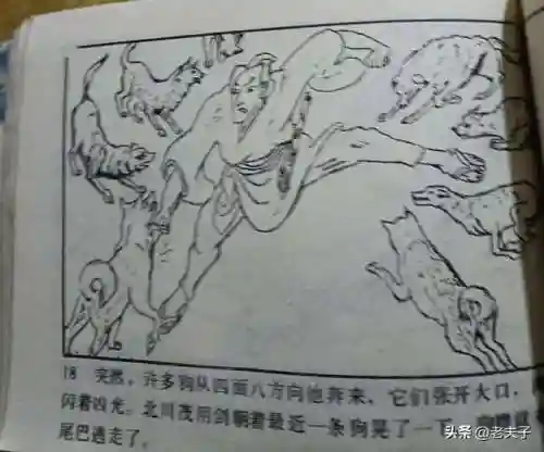 寻宝渔夫大亨(捕鱼大亨)插图18