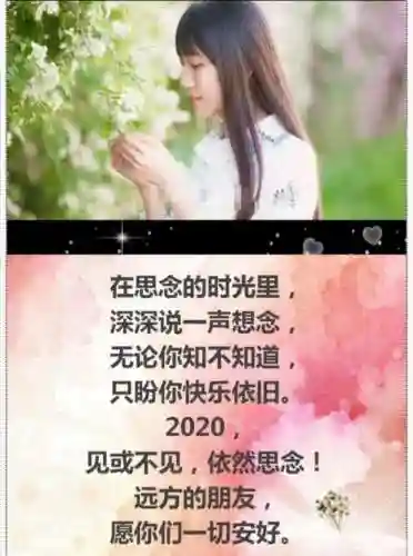 诚诺之心阵容搭配最新(圣盾使阵容最强搭配)插图7