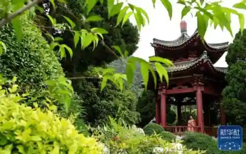 华清宫简介(西安华清宫景点介绍)插图5