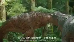 史前星球阵容搭配图表最新(走开外星人最强阵容)插图30