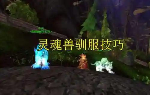 灵魂兽洛卡纳哈刷新规律(洛卡纳哈刷新率最高的坐标)