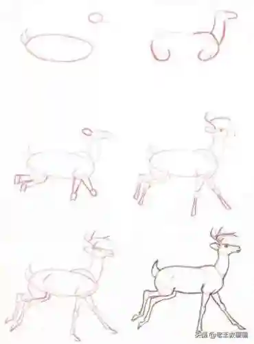 画100个呆萌可爱小动物(画小动物简单又可爱)