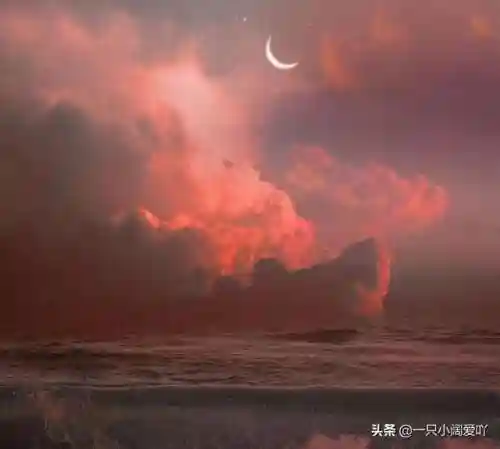 至尊邪医-魔帝(至尊邪医魔帝宠翻天全文免费阅读)插图1