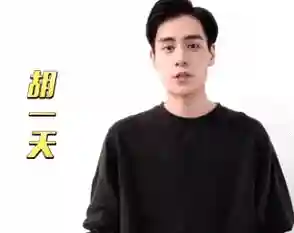 绝代双骄1999林志颖版演员表(绝代双骄林志颖免费播放)