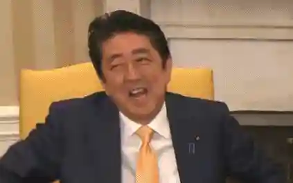 安倍保镖阵容搭配推荐图片(护卫配什么阵容)插图15