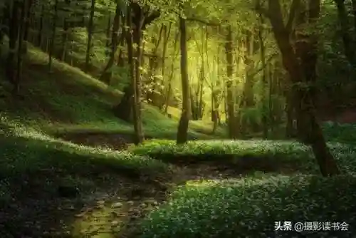 2021年图片大全好看(唯美图片2024新图片)插图33