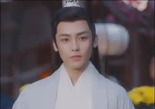 古装美男阵容搭配图片大全(古装美男排行榜)插图33