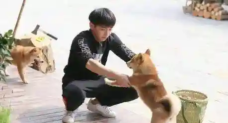 抓蝴蝶游戏的规律(打枪游戏)