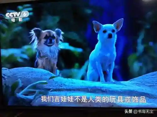 龙妈加狗子阵容搭配(云顶之弈奶妈主c阵容)插图5
