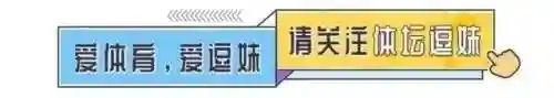 棋王德古拉阵容搭配(决斗大师阵容搭配)