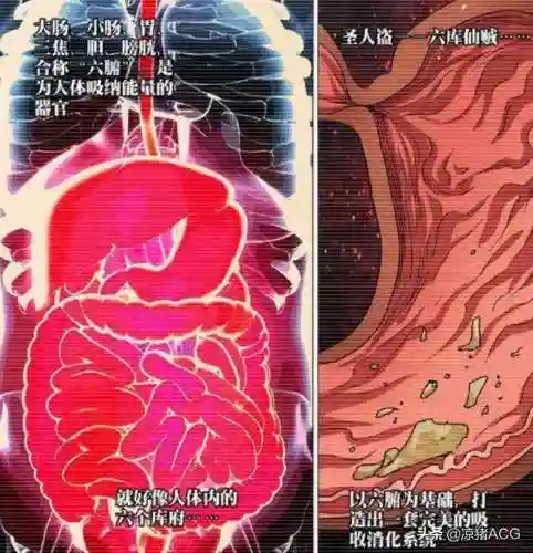 圣人之术怎么搭配阵容(圣教军最强输出搭配)插图1