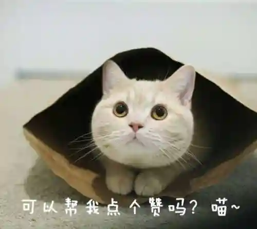 沈梦溪连胜阵容搭配(沈梦溪克制的中单英雄)插图16