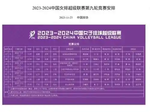 王者女排阵容搭配表图片(中国女排阵容海报)