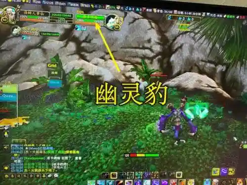灵魂兽洛卡纳哈刷新规律(洛卡纳哈刷新率最高的坐标)插图4