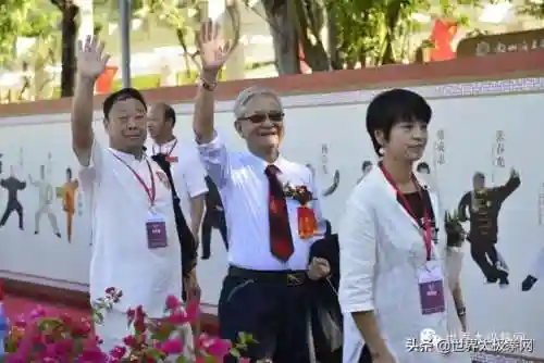 太极演员阵容搭配图片(云太极新款太极表演服装)插图6