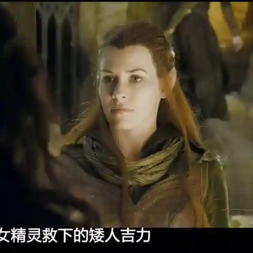 霍比特人2(霍比特人2在线观看免费国语)插图6