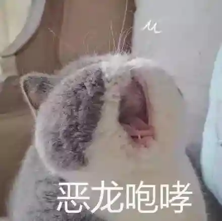 怎么读龘靐齉爩(怎么读游标卡尺)插图5