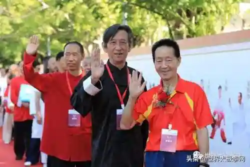 太极演员阵容搭配图片(云太极新款太极表演服装)插图21