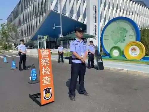 蓝团最强阵容搭配图(qq超市粉丝团最强阵容)插图21