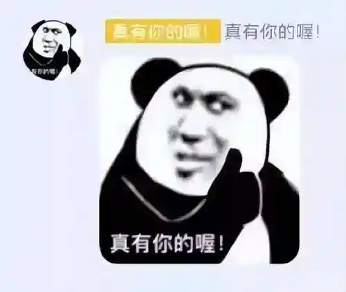 最新手机上市(2024年即将上市的手机)插图13